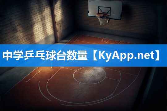 中学乒乓球台数量