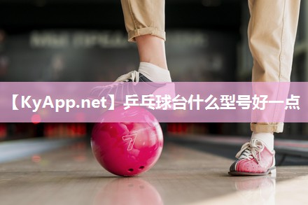 乒乓球台什么型号好一点