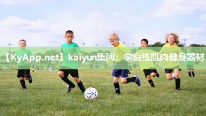 kaiyun集团:家庭练肌肉健身器材