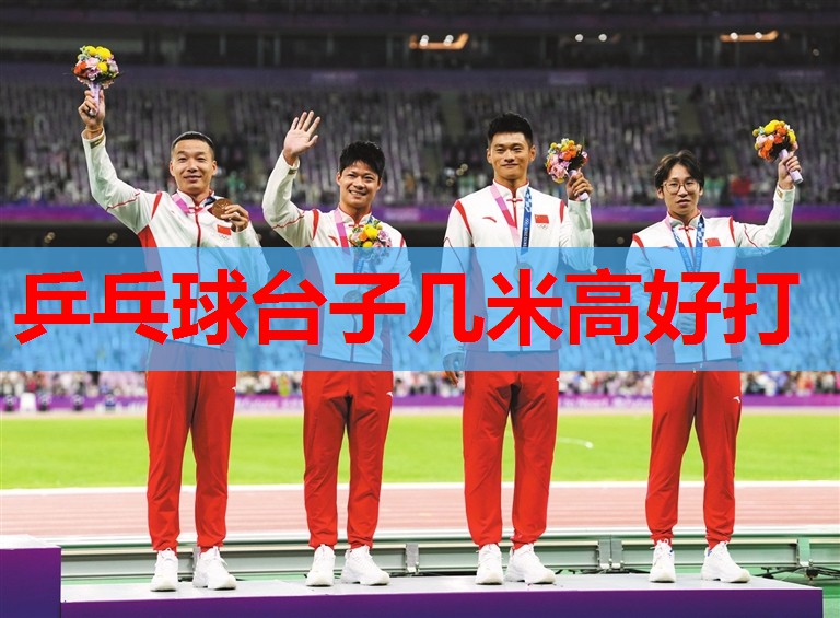 乒乓球台子几米高好打