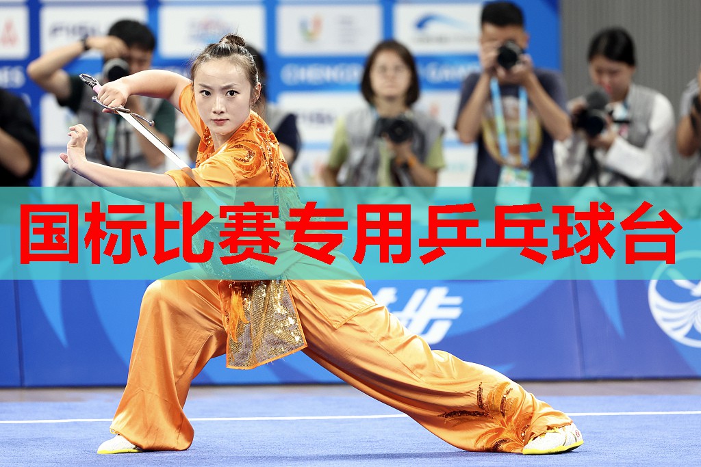 国标比赛专用乒乓球台