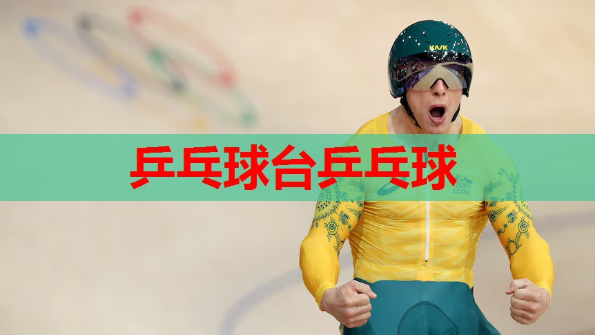 乒乓球台乒乓球