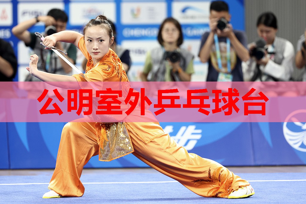 公明室外乒乓球台