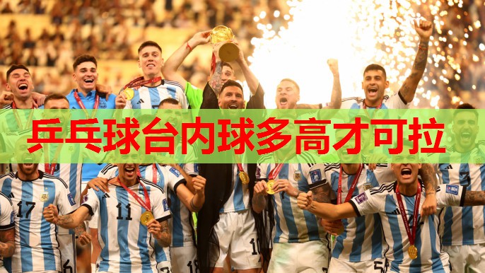 乒乓球台内球多高才可拉