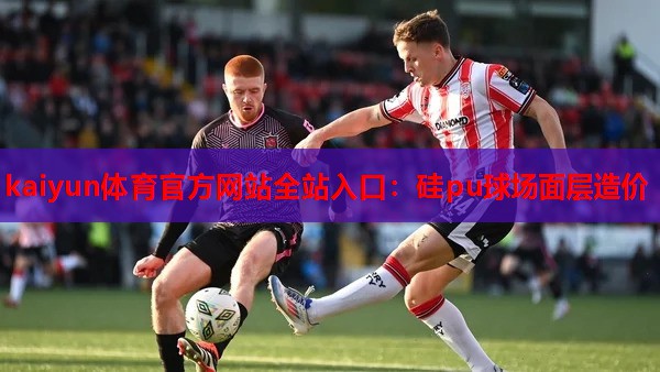 kaiyun体育官方网站全站入口:硅pu球场面层造价
