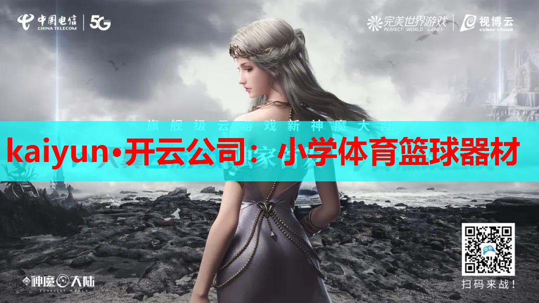 kaiyun·开云公司:小学体育篮球器材