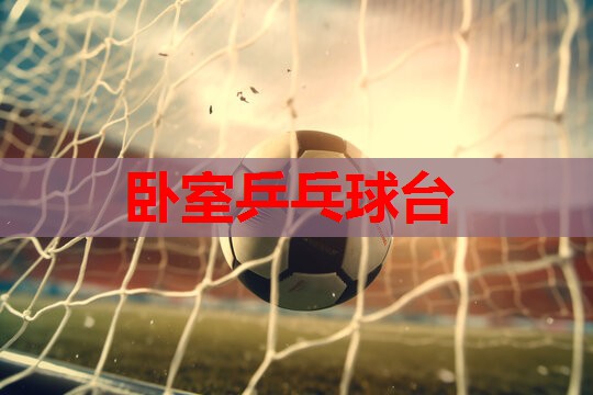 卧室乒乓球台