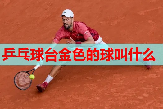乒乓球台金色的球叫什么