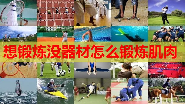 想锻炼没器材怎么锻炼肌肉
