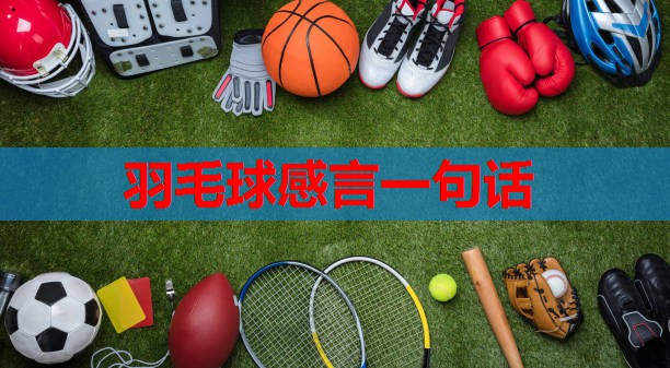 羽毛球感言一句话