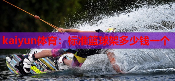 kaiyun体育:标准篮球架多少钱一个