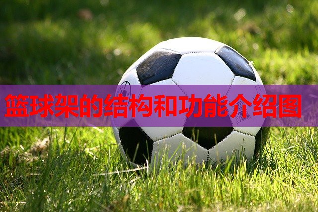 篮球架的结构和功能介绍图