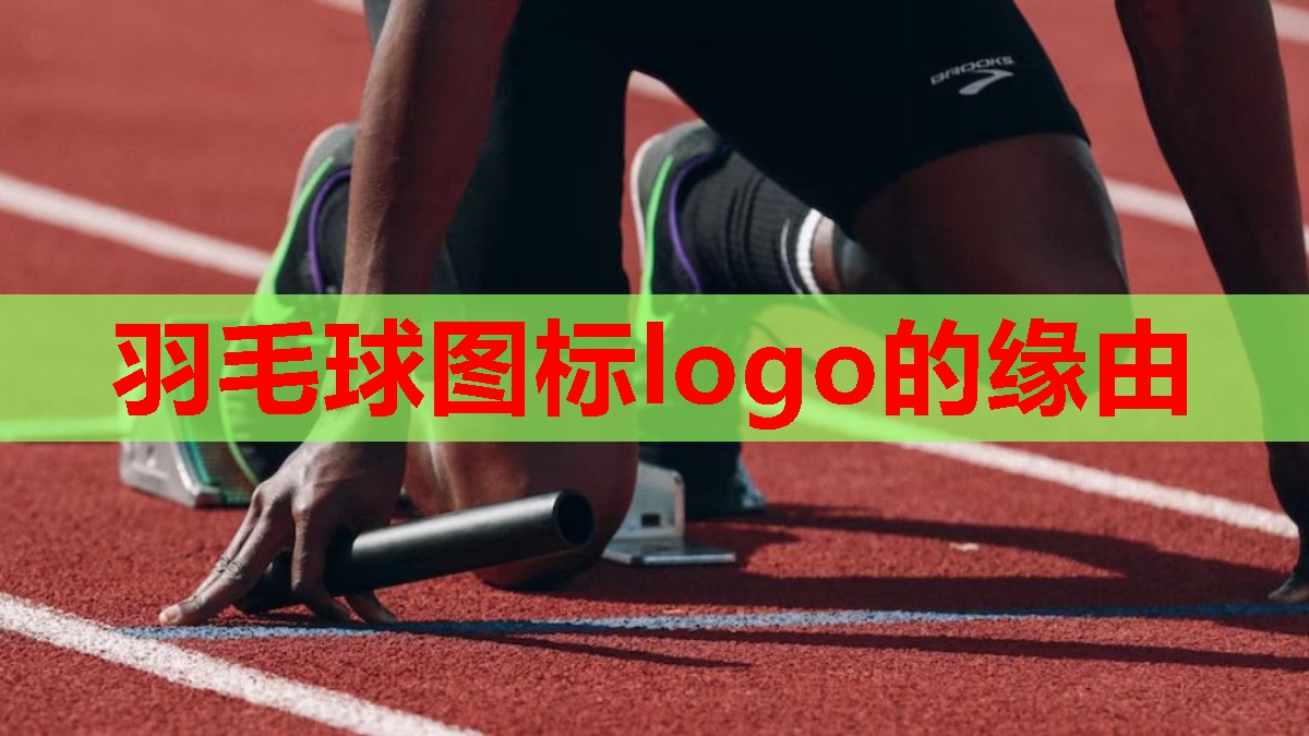 羽毛球图标logo的缘由