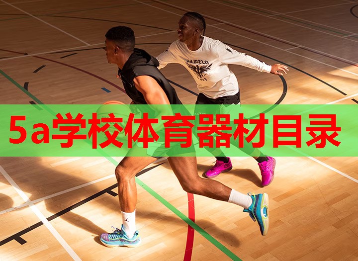 5a学校体育器材目录