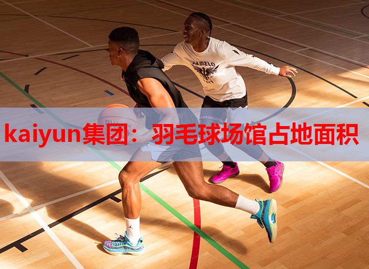 kaiyun集团:羽毛球场馆占地面积