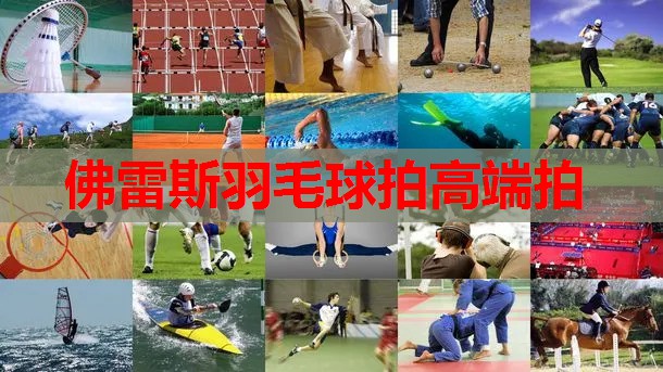 佛雷斯羽毛球拍高端拍