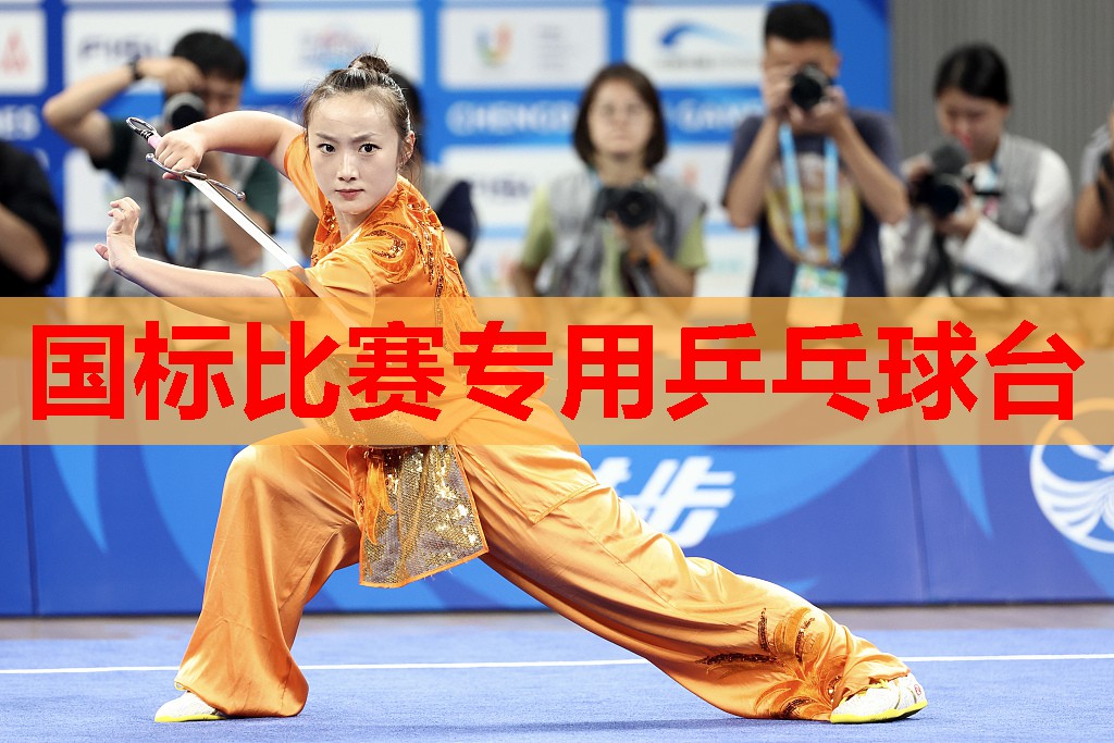 国标比赛专用乒乓球台