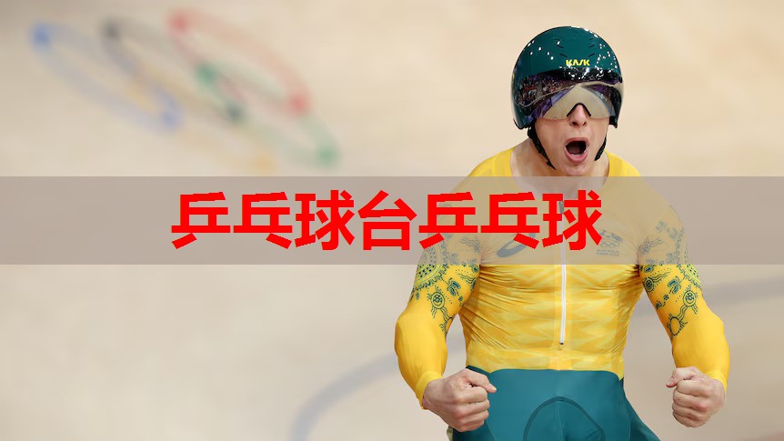 乒乓球台乒乓球