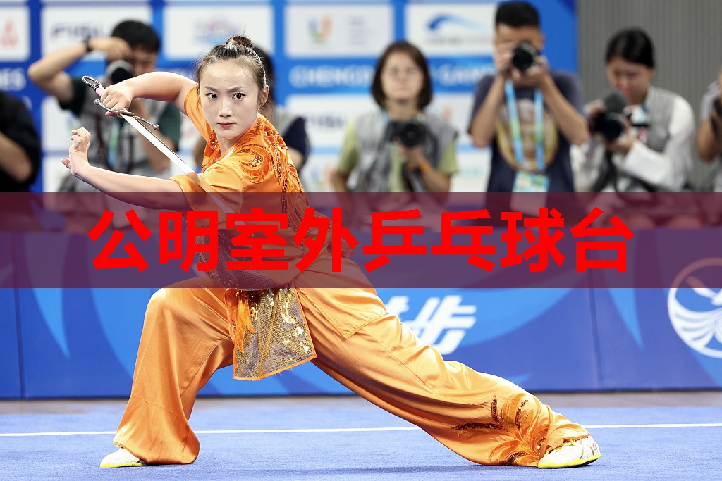 公明室外乒乓球台