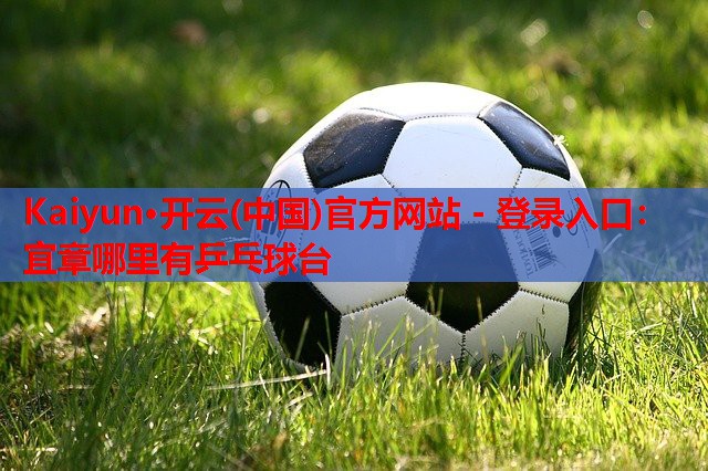 宜章哪里有乒乓球台