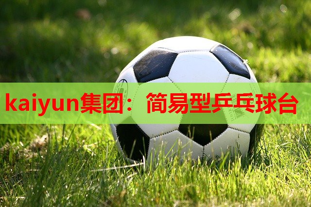 简易型乒乓球台