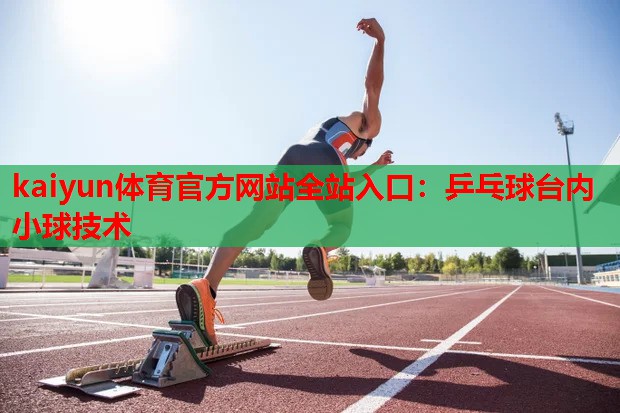 乒乓球台内小球技术