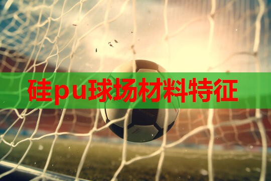 硅pu球场材料特征