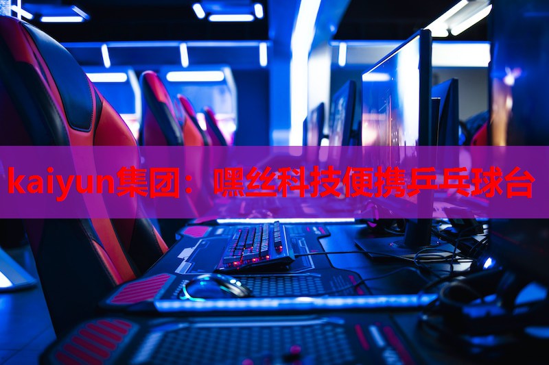 嘿丝科技便携乒乓球台