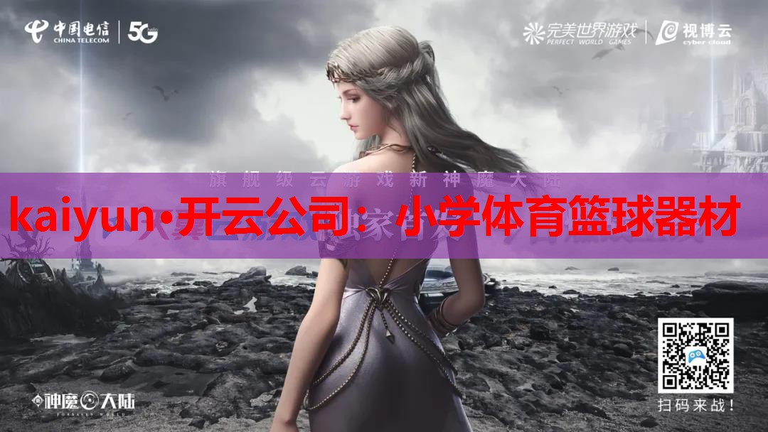 小学体育篮球器材