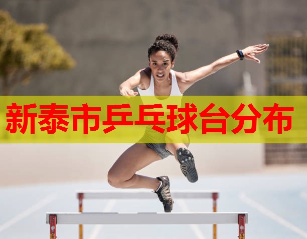 新泰市乒乓球台分布