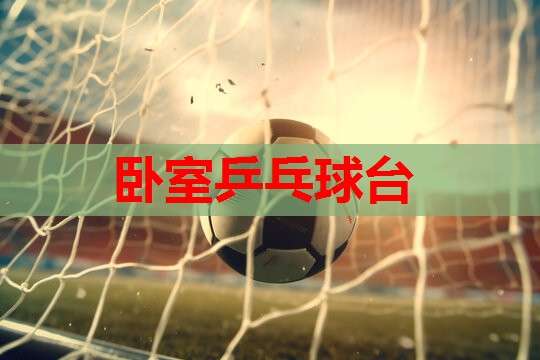 卧室乒乓球台