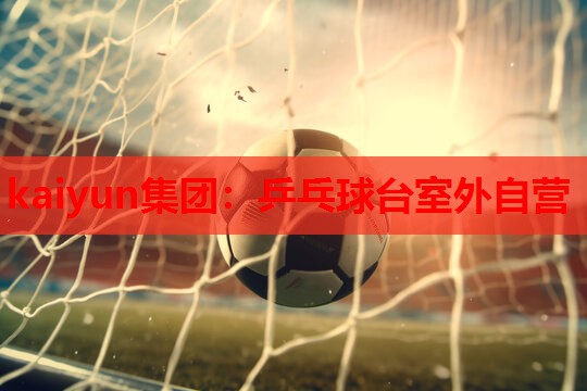 乒乓球台室外自营