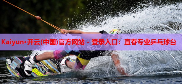 宜春专业乒乓球台