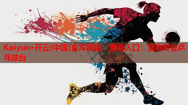 宜春专业乒乓球台
