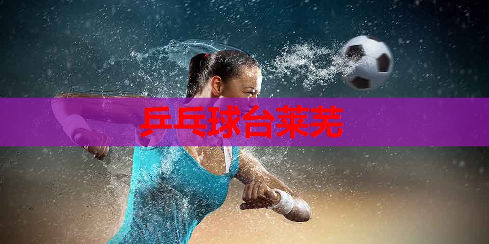 乒乓球台莱芜