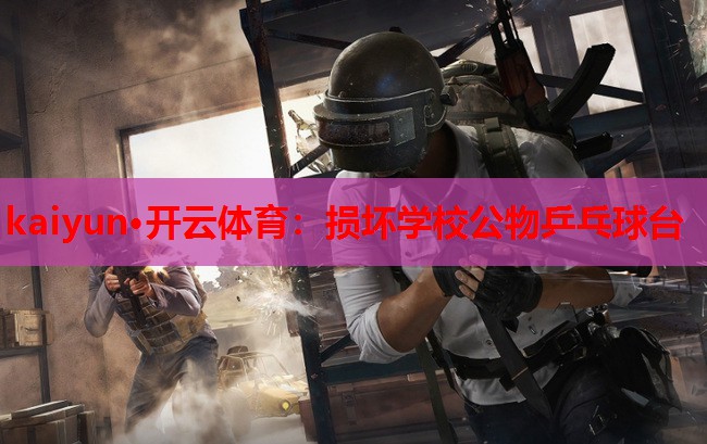 损坏学校公物乒乓球台
