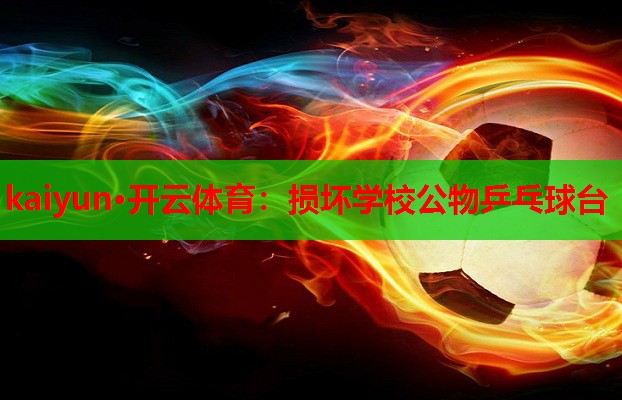 损坏学校公物乒乓球台