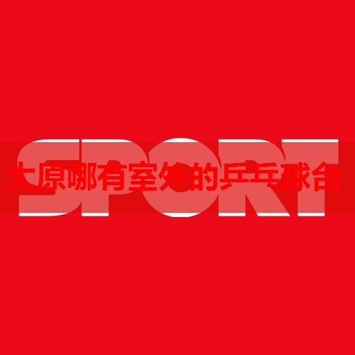 太原哪有室外的乒乓球台