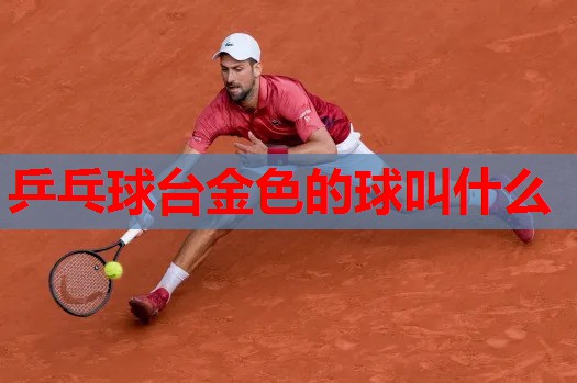 乒乓球台金色的球叫什么