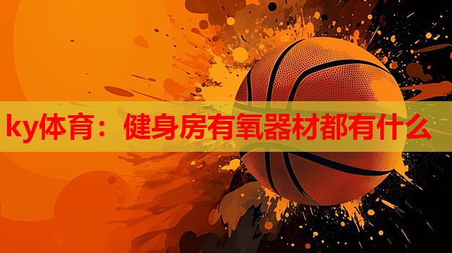健身房有氧器材都有什么