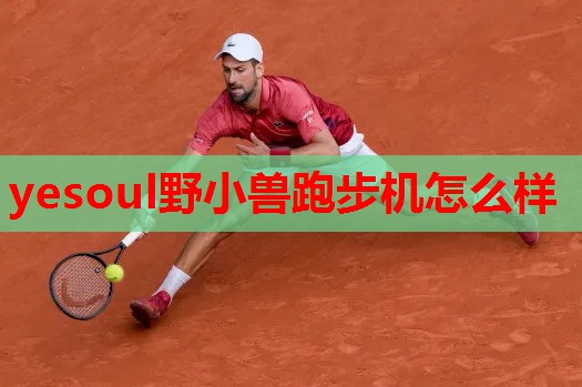 yesoul野小兽跑步机怎么样