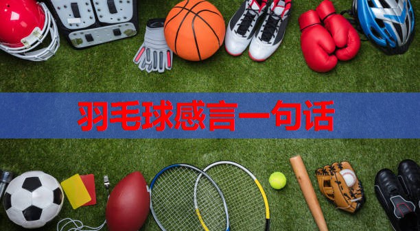 羽毛球感言一句话