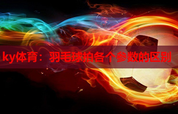 羽毛球拍各个参数的区别
