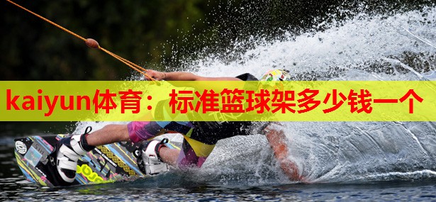 标准篮球架多少钱一个