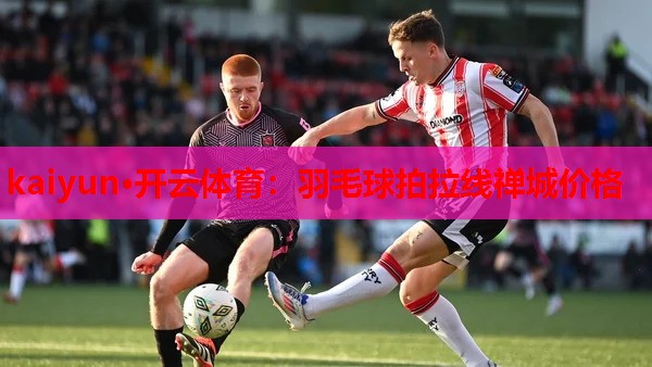 羽毛球拍拉线禅城价格