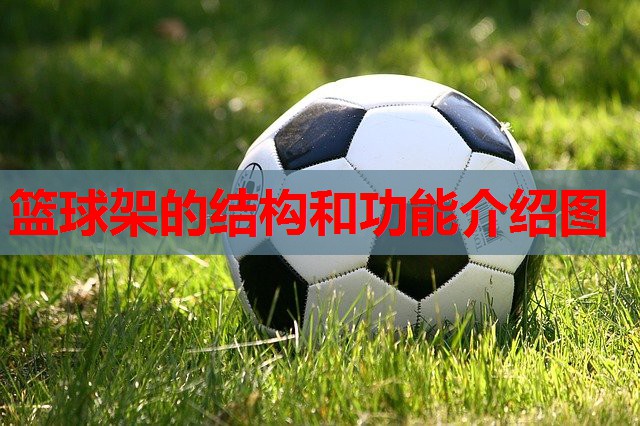 篮球架的结构和功能介绍图