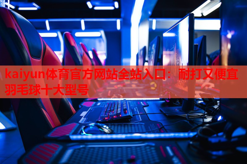 耐打又便宜羽毛球十大型号