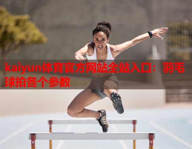 羽毛球拍各个参数