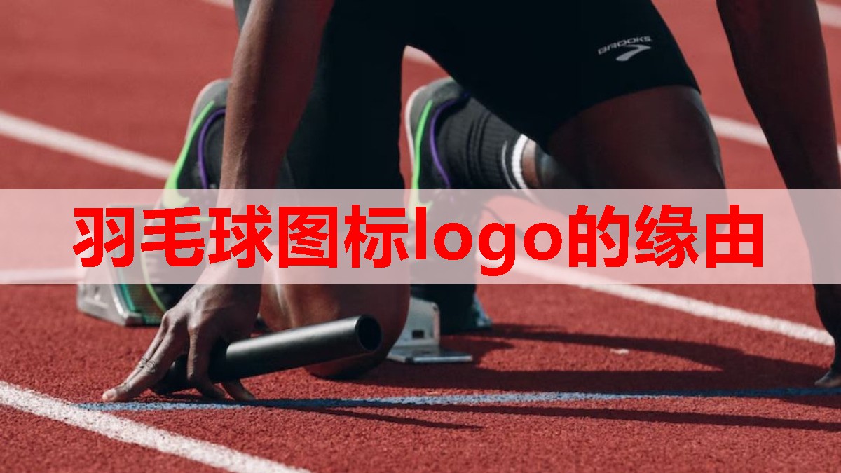 羽毛球图标logo的缘由