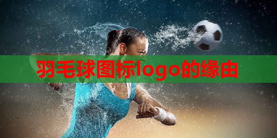 羽毛球图标logo的缘由